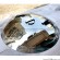 anish kapoor Stainless steel disks  anish kapoor Stainless steel disks