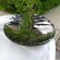 Stainless steel mirror concave sculpture
