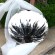 Stainless steel mirror concave sculpture