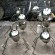 Metal Ant Animal Sculpture in Outdoor Garden