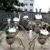Metal Ant Animal Sculpture in Outdoor Garden