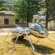Metal Ant Animal Sculpture in Outdoor Garden
