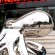 stainless steel octopus sculpture