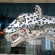 metal Animal leopard sculpture