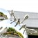 Polished mirror  Public art water droplet sphere sculpture