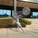Garden Stainless Steel Dandelion Wire Fairy Sculpture