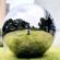 large metal sphere large stainless steel sphere large gazing balls